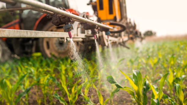 Professional Pest Control in Granger, IA